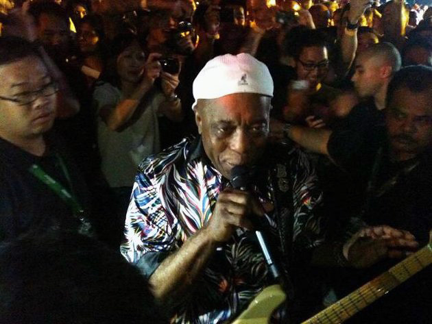 rock-n-roots-timbre